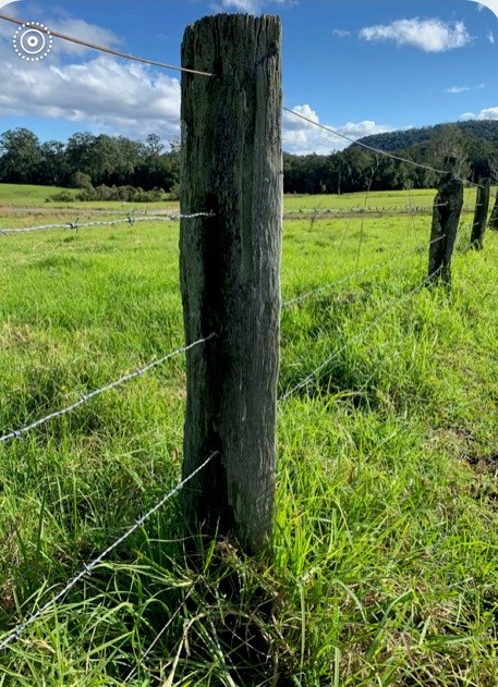 Farm fence posts