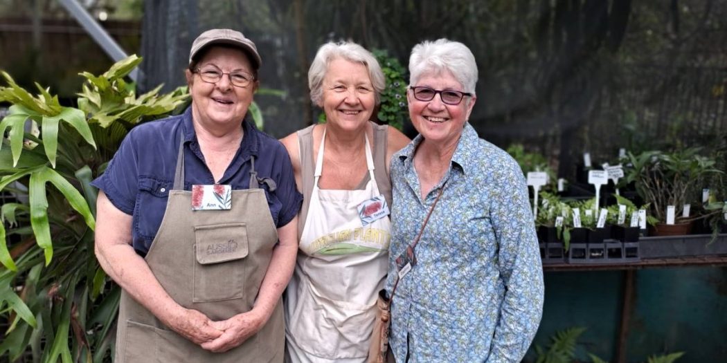 Glenbrook native plant nursery