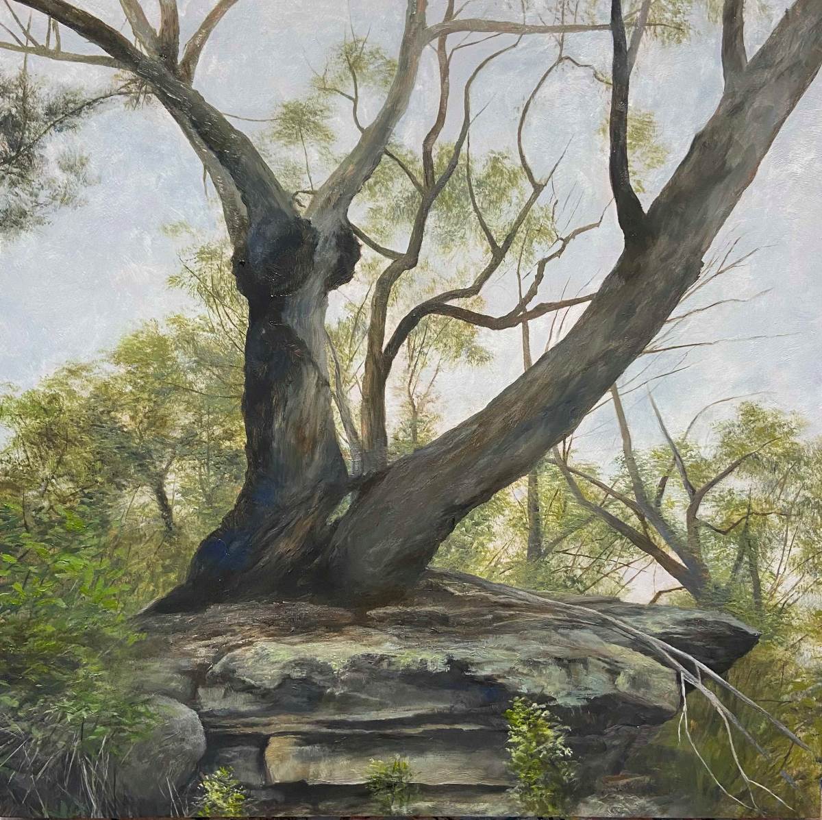painting of a tree by corinne loxton