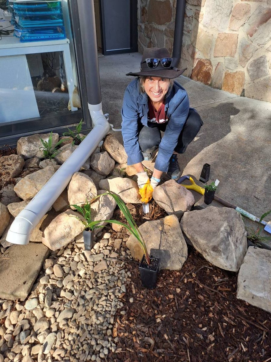 Education and Engagement Officer, Healthy Waterways, Gill Fitzgerald helps plant some of the 1000 seedlings which will function as natural bio filters for the rain garden