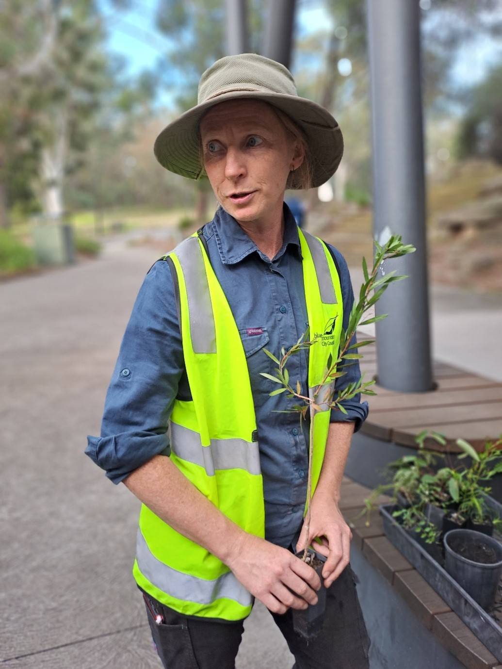 Amy St Lawrence, Blue Mountains Aquatic Systems Officer at the Glenbrook rain garden site